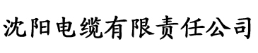 香蕉国产免费看电缆厂logo